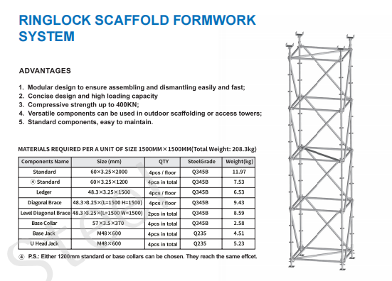 Ringlock Scaffold Formwork System view 2